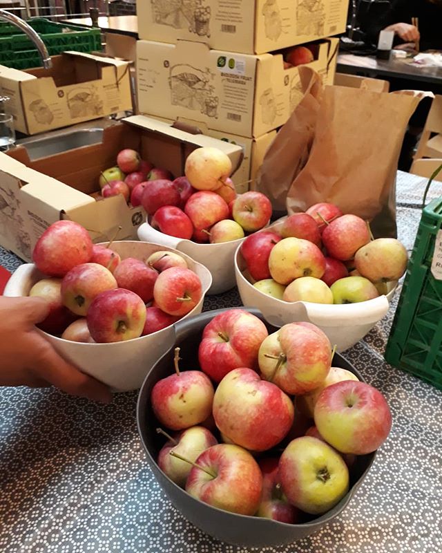 Sesongens første utlevering med norske biodynamiske epler fra Jønsi gård i Telemark via @oslokooperativ 🍏🍎. Stas! #oslokooperativ #økologisk #biodynamisk #sesong #norskeepler